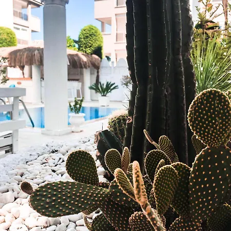 Conny's (adults Only) Hotell