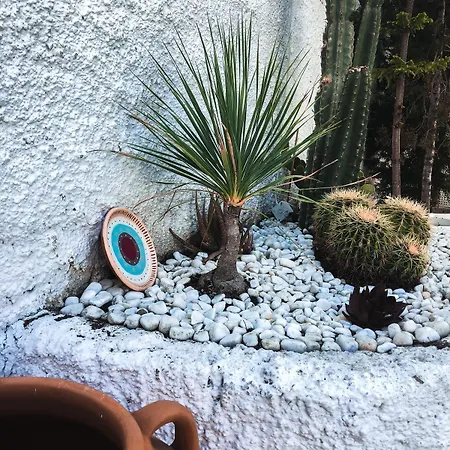 Conny's (adults Only) Hotell Side