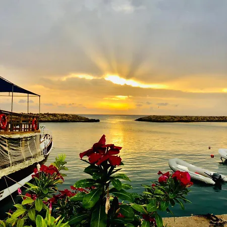 Conny's (adults Only) Side